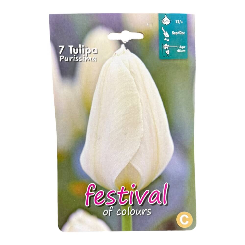 Tulipanløg, Tulips ´Purissima´ - 7 stk.