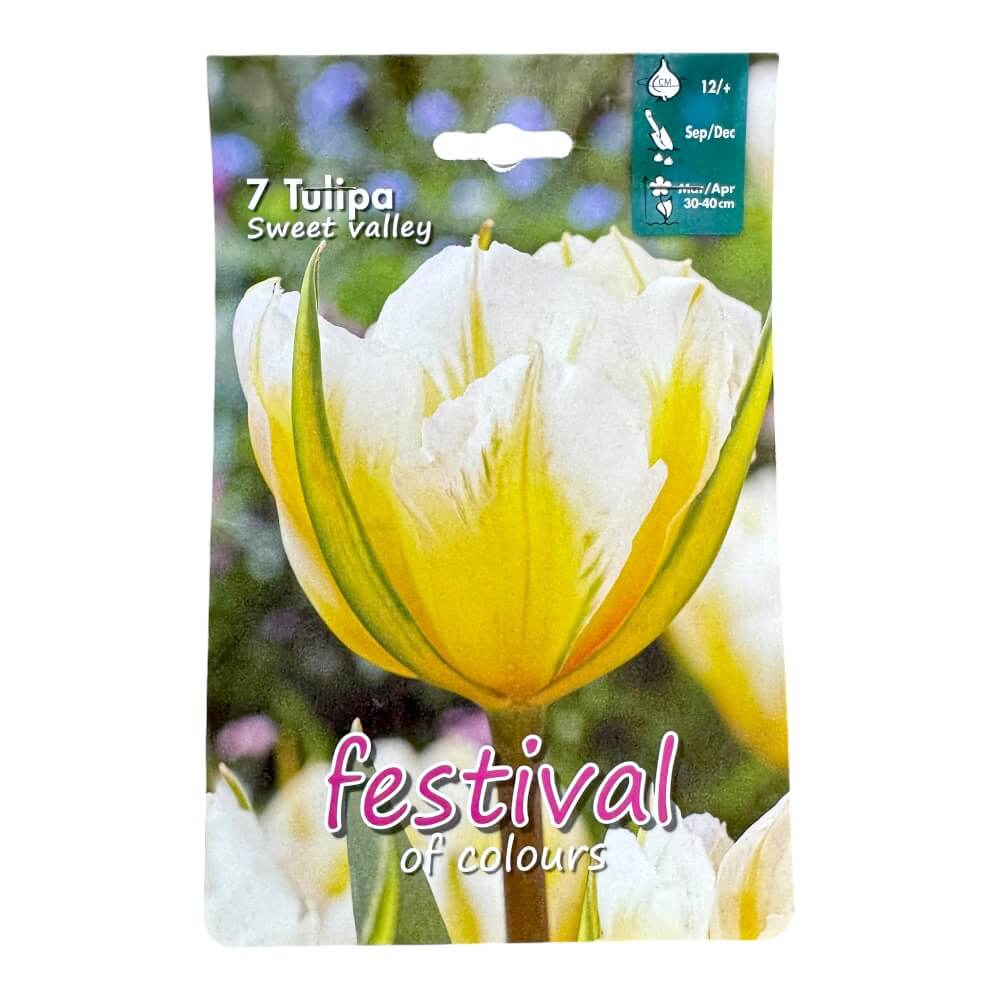 Tulipanløg, Tulipa ´Sweet valley´ - 7 stk.